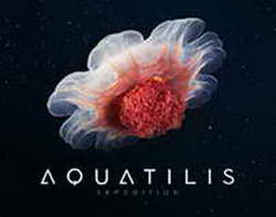 Тоқаев Қауіпсіздік кеңесінің отырысын өткізді